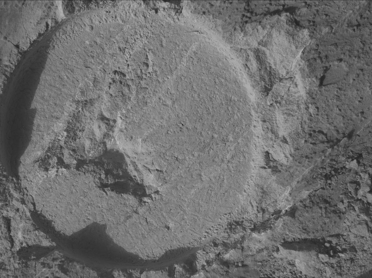 This image was taken by SHERLOC_WATSON onboard NASA's Mars rover Perseverance on Sol 1211