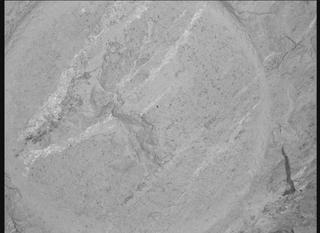 View image taken on Mars, Mars Perseverance Sol 1211: WATSON Camera 