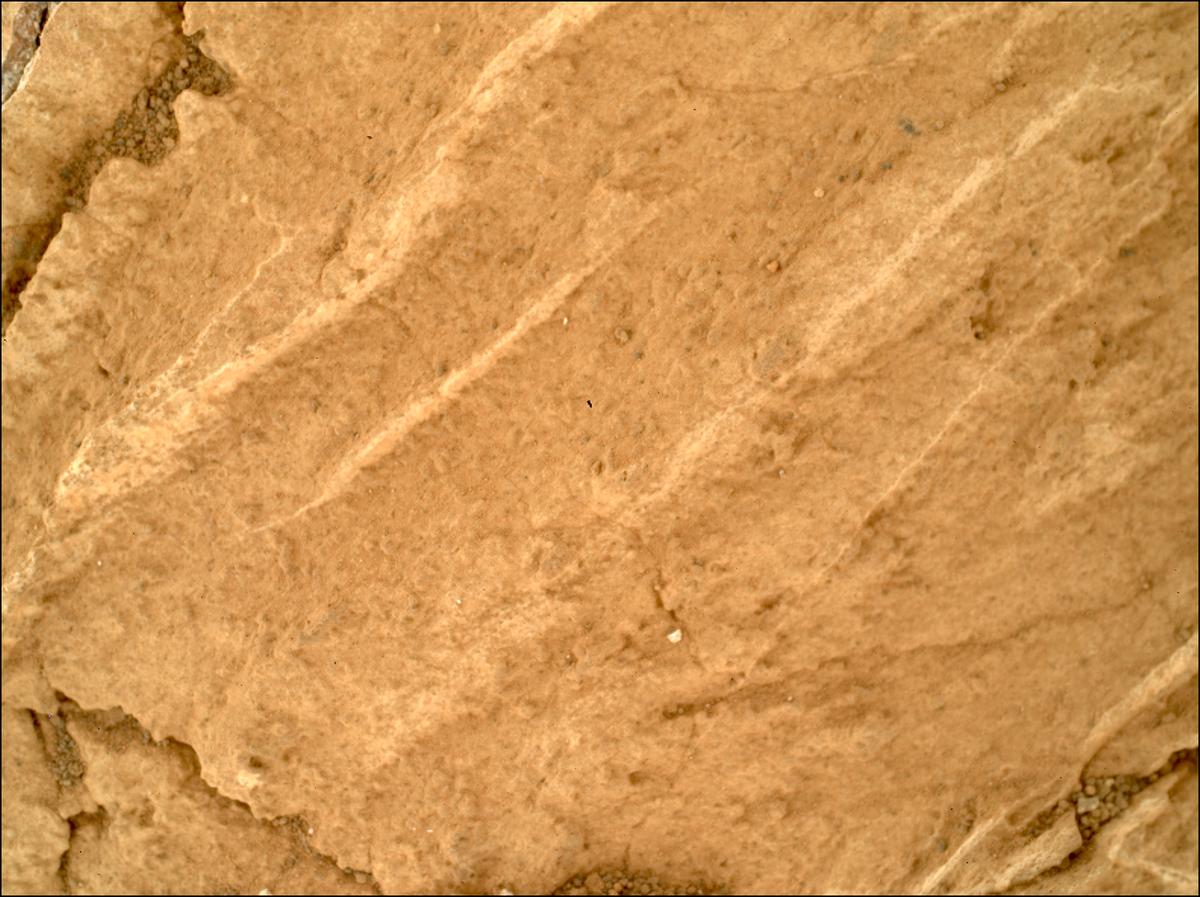 This image was taken by SHERLOC_WATSON onboard NASA's Mars rover Perseverance on Sol 1211