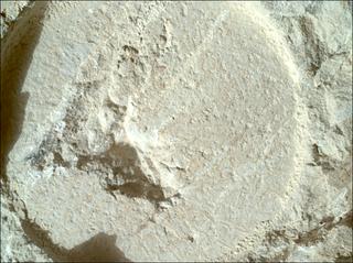 View image taken on Mars, Mars Perseverance Sol 1211: WATSON Camera 