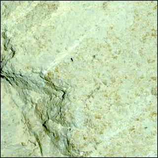 View image taken on Mars, Mars Perseverance Sol 1211: WATSON Camera 