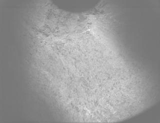 View image taken on Mars, Mars Perseverance Sol 1212: PIXL Camera 