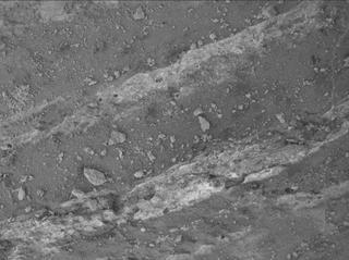 View image taken on Mars, Mars Perseverance Sol 1212: WATSON Camera 