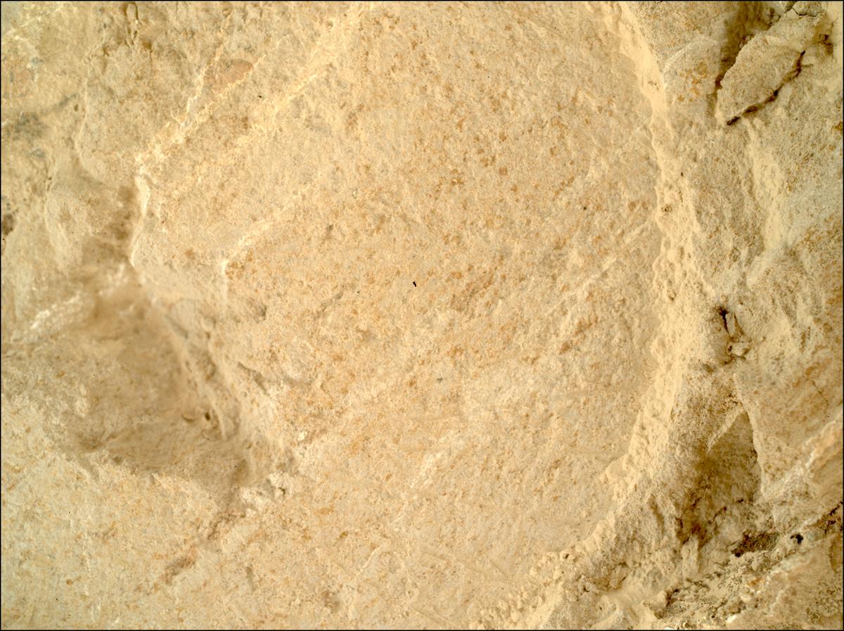 This image was taken by SHERLOC_WATSON onboard NASA's Mars rover Perseverance on Sol 1212