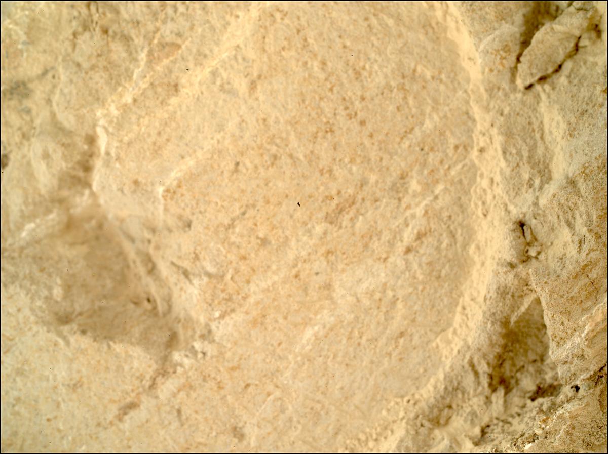 This image was taken by SHERLOC_WATSON onboard NASA's Mars rover Perseverance on Sol 1212