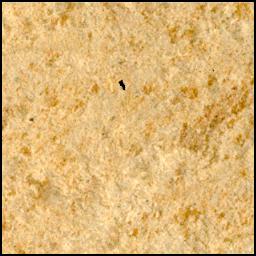 This image was taken by SHERLOC_WATSON onboard NASA's Mars rover Perseverance on Sol 1212