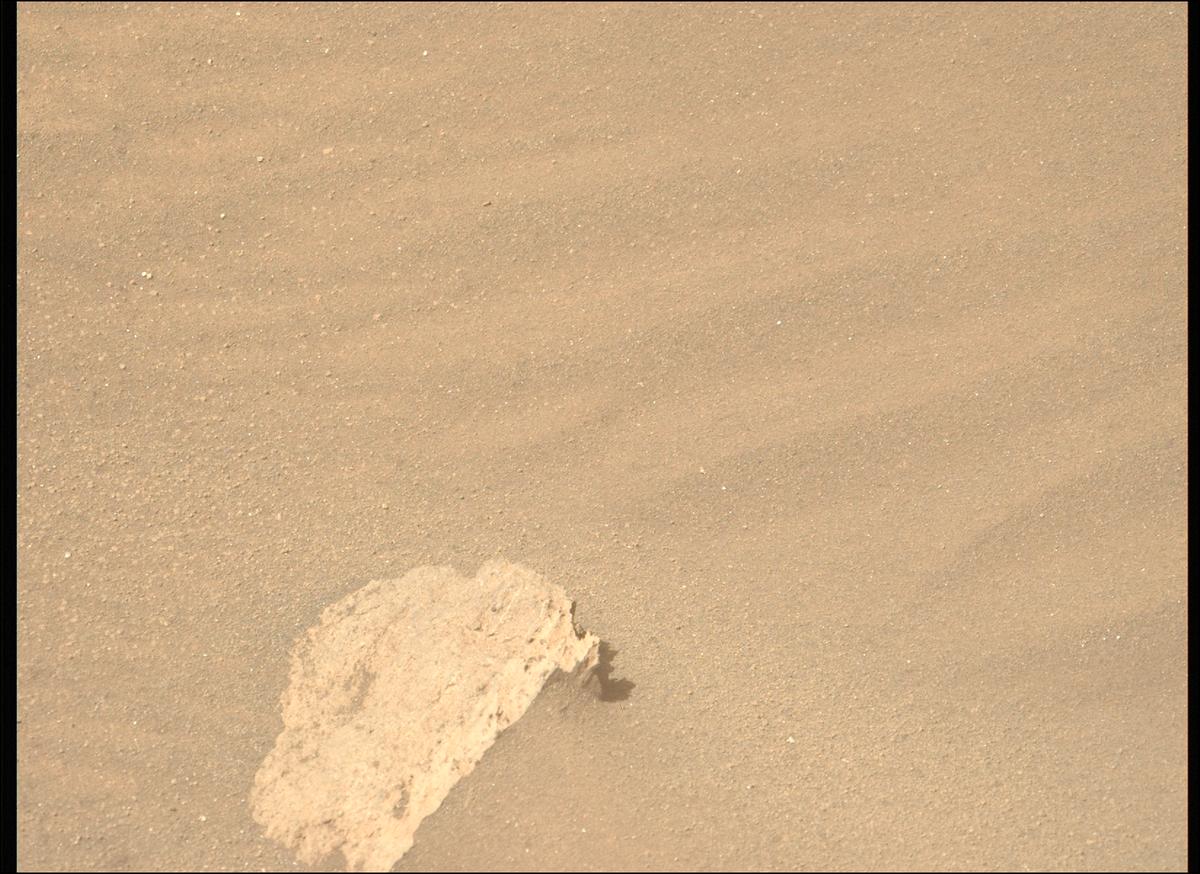 This image was taken by MCZ_LEFT onboard NASA's Mars rover Perseverance on Sol 1213