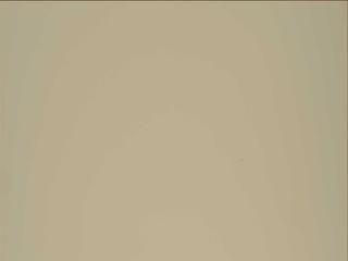 View image taken on Mars, Mars Perseverance Sol 1213: Right Mastcam-Z Camera