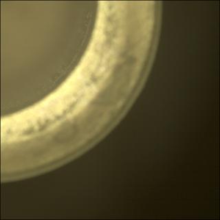 View image taken on Mars, Mars Perseverance Sol 1215: Sample Caching System Camera (CacheCam)