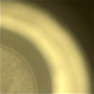 View image taken on Mars, Mars Perseverance Sol 1215: Sample Caching System Camera (CacheCam)