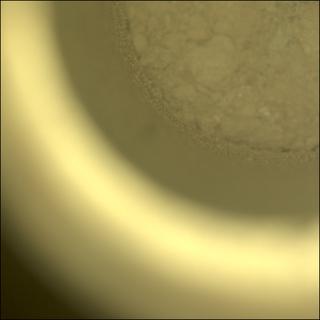 View image taken on Mars, Mars Perseverance Sol 1215: Sample Caching System Camera (CacheCam)