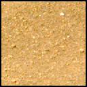 View image taken on Mars, Mars Perseverance Sol 1215: Left Mastcam-Z Camera