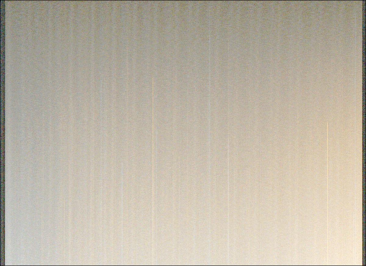 This image was taken by MCZ_LEFT onboard NASA's Mars rover Perseverance on Sol 1216