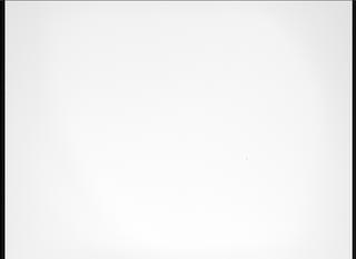 View image taken on Mars, Mars Perseverance Sol 1216: Right Mastcam-Z Camera