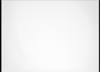 View image taken on Mars, Mars Perseverance Sol 1216: Right Mastcam-Z Camera