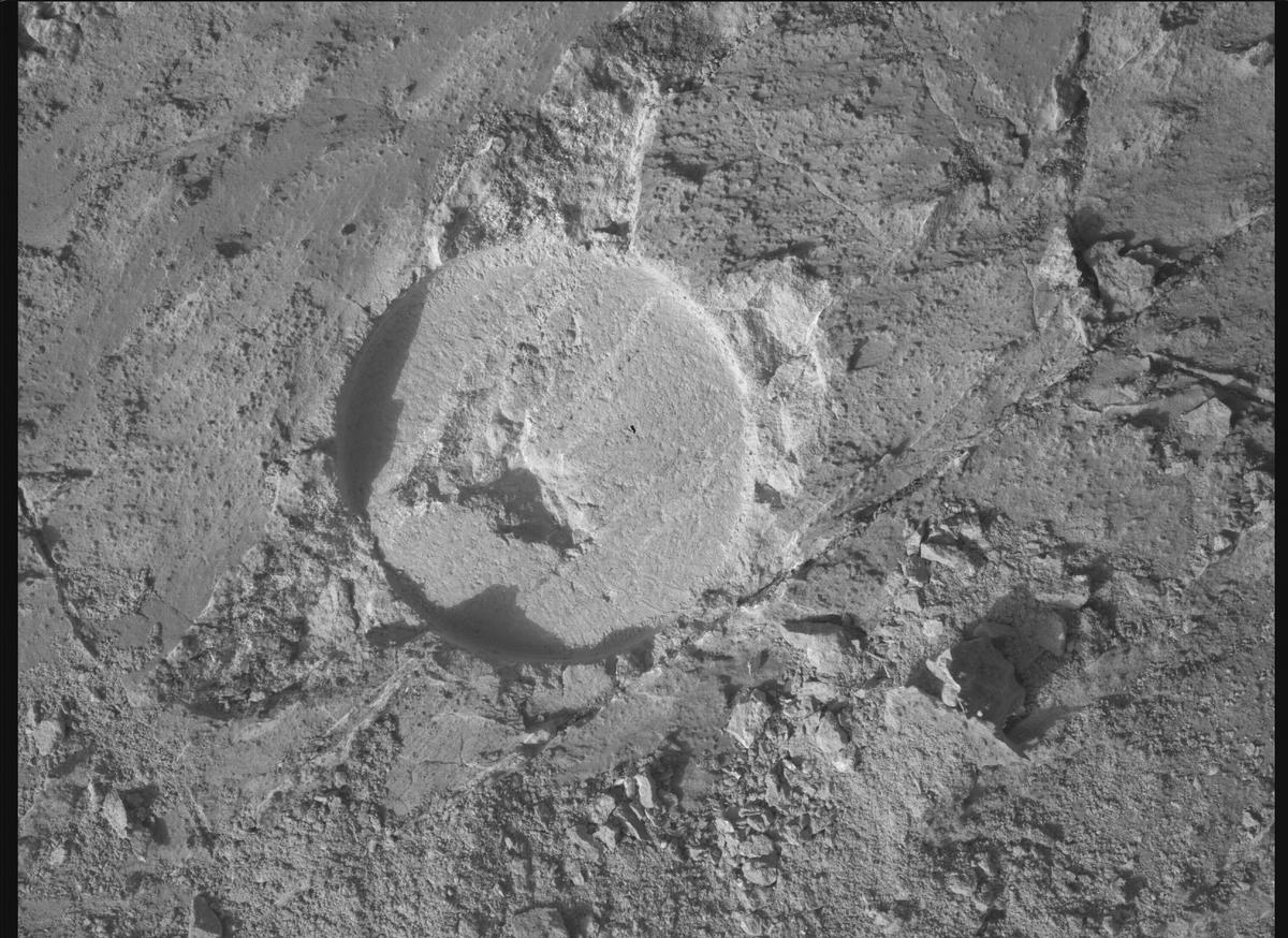 This image was taken by SHERLOC_WATSON onboard NASA's Mars rover Perseverance on Sol 1217