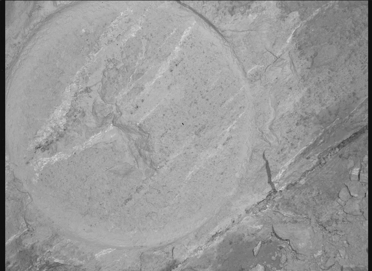 This image was taken by SHERLOC_WATSON onboard NASA's Mars rover Perseverance on Sol 1217