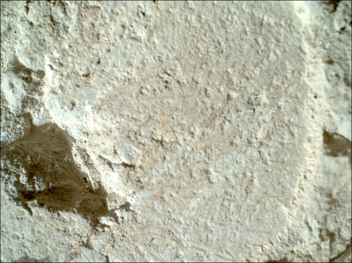 This image was taken by SHERLOC_WATSON onboard NASA's Mars rover Perseverance on Sol 1217