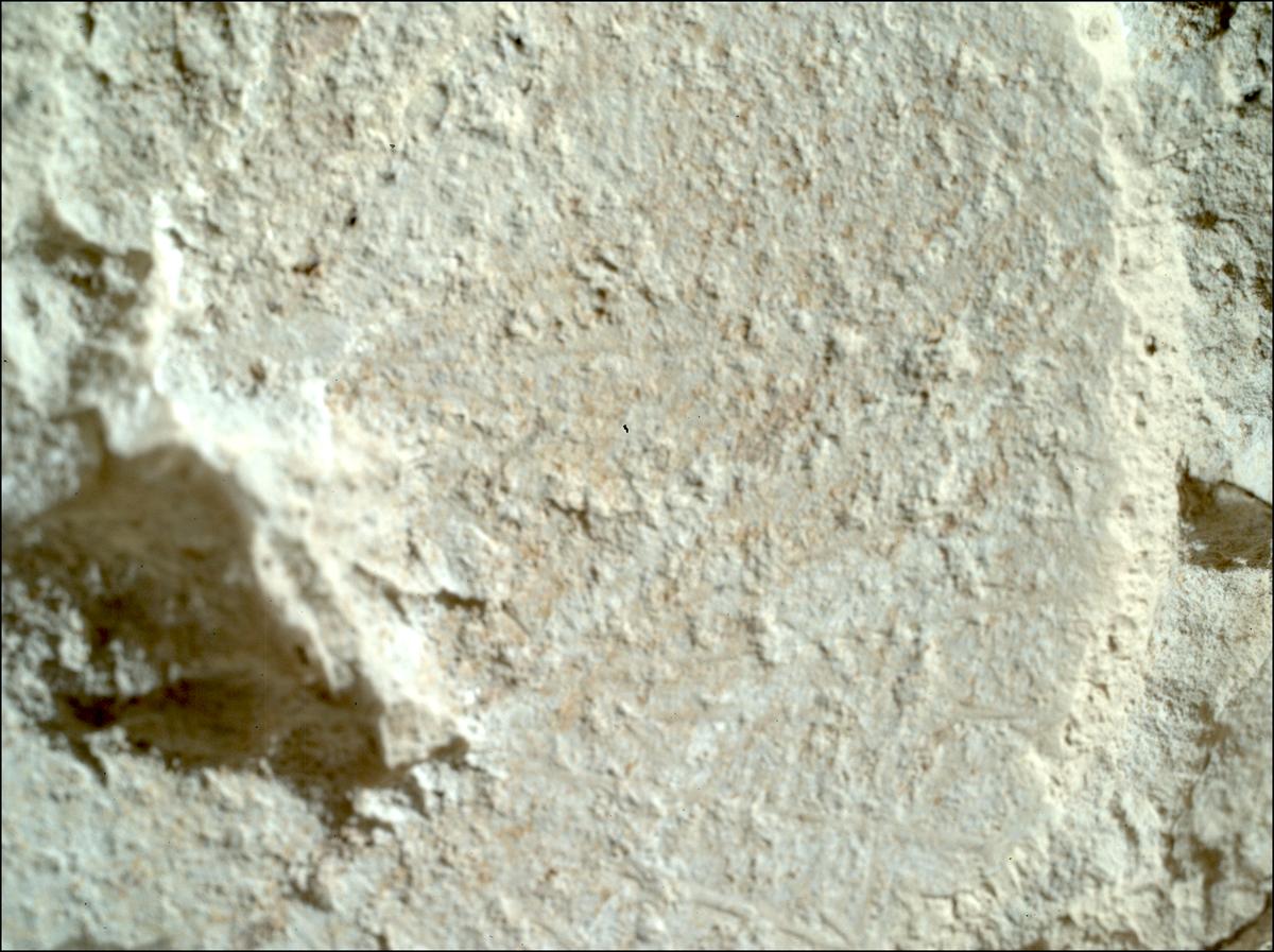 This image was taken by SHERLOC_WATSON onboard NASA's Mars rover Perseverance on Sol 1217