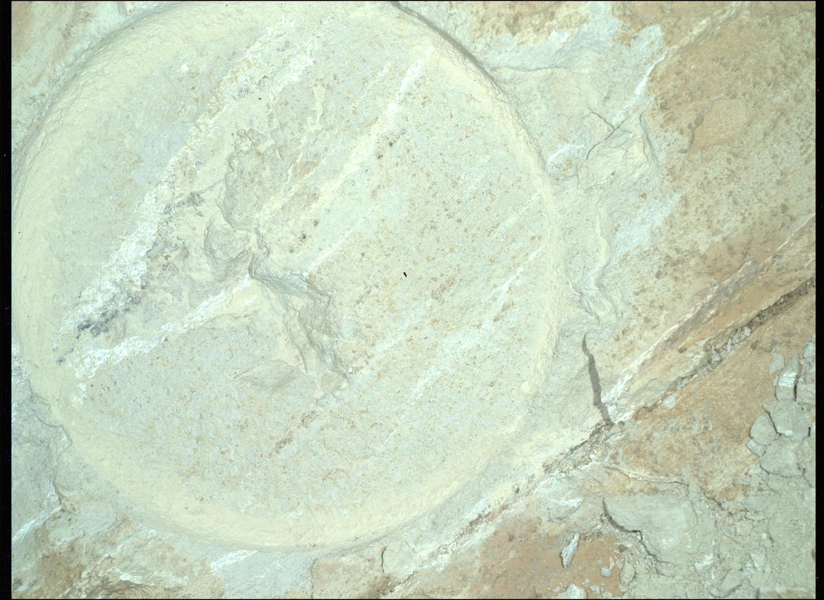 This image was taken by SHERLOC_WATSON onboard NASA's Mars rover Perseverance on Sol 1217