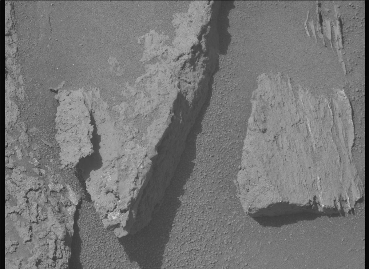 This image was taken by MCZ_LEFT onboard NASA's Mars rover Perseverance on Sol 1217