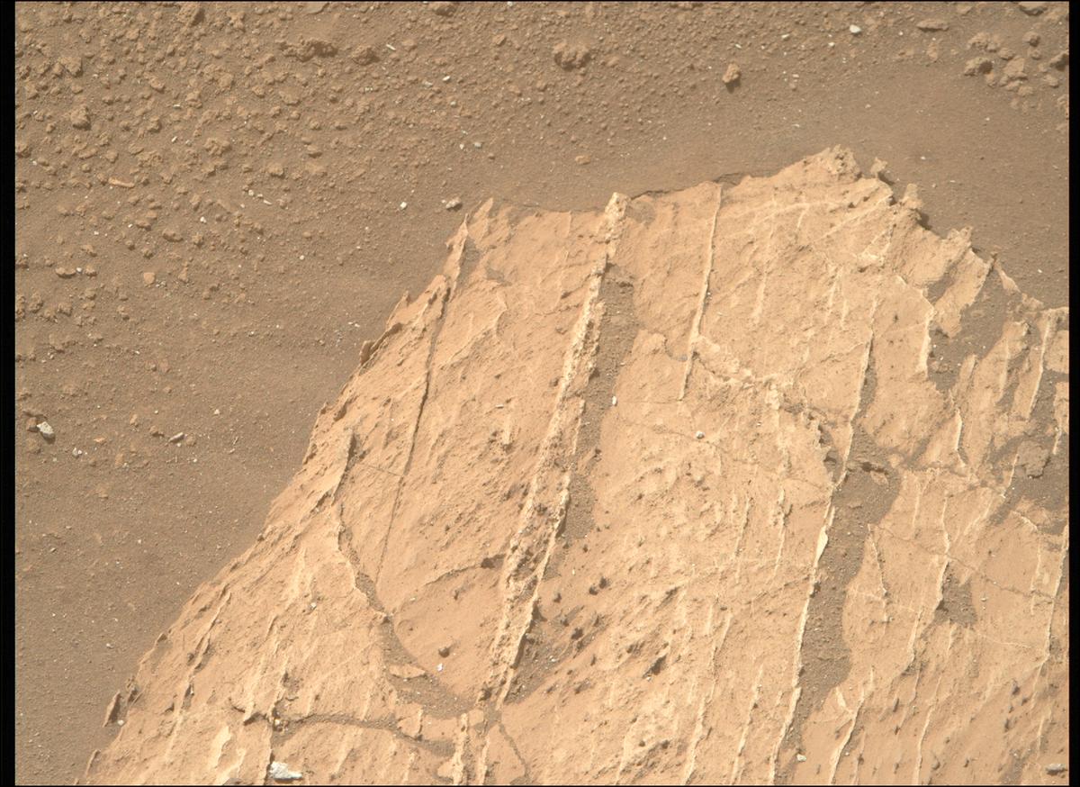 This image was taken by MCZ_RIGHT onboard NASA's Mars rover Perseverance on Sol 1217