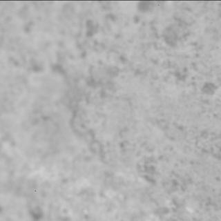 View image taken on Mars, Mars Perseverance Sol 1218: SHERLOC ACI Camera 