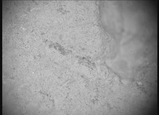 View image taken on Mars, Mars Perseverance Sol 1218: SHERLOC ACI Camera 