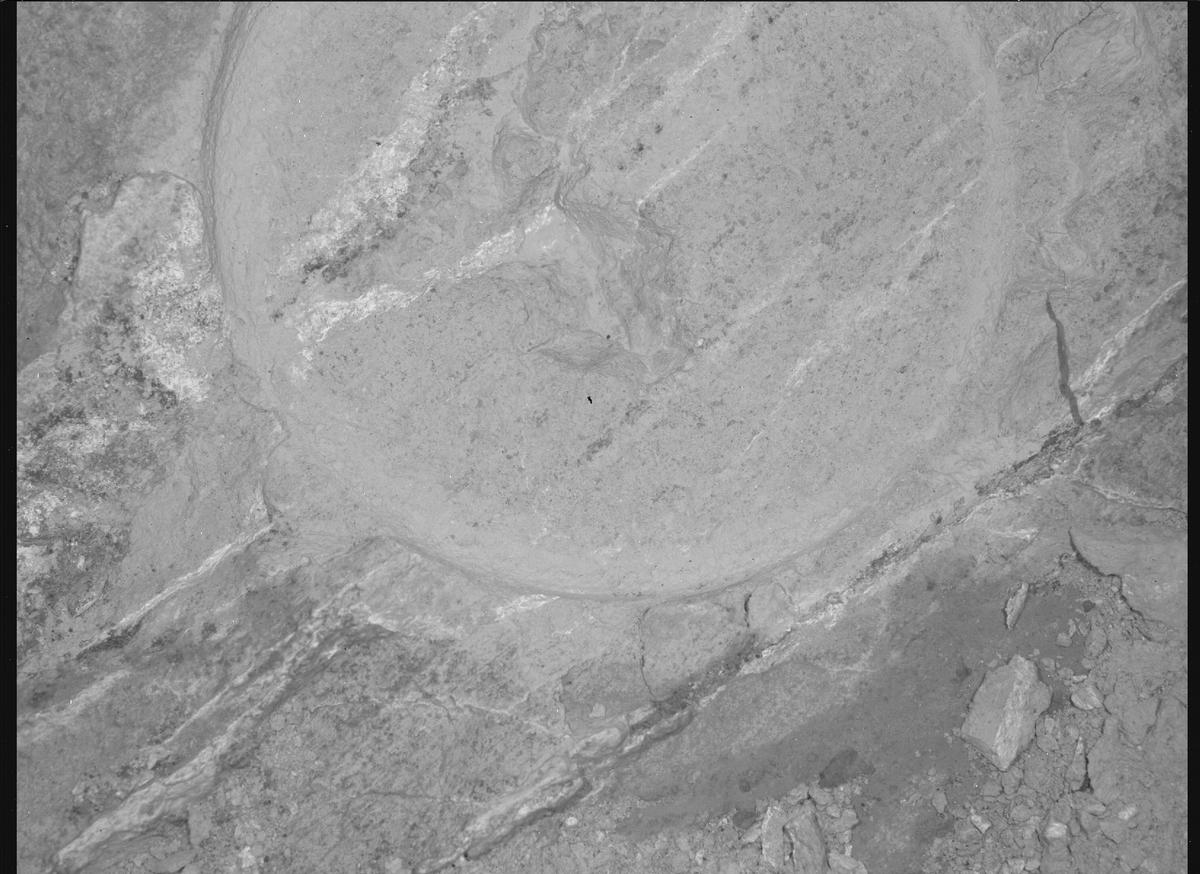 This image was taken by SHERLOC_WATSON onboard NASA's Mars rover Perseverance on Sol 1218
