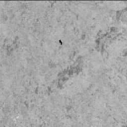 View image taken on Mars, Mars Perseverance Sol 1218: WATSON Camera 