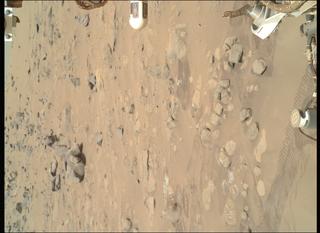 View image taken on Mars, Mars Perseverance Sol 1218: WATSON Camera 