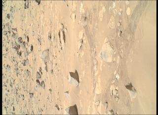 View image taken on Mars, Mars Perseverance Sol 1218: WATSON Camera 