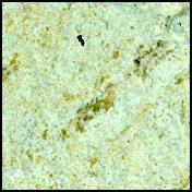 This image was taken by SHERLOC_WATSON onboard NASA's Mars rover Perseverance on Sol 1218