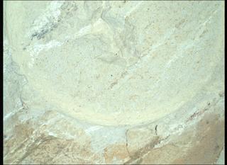 View image taken on Mars, Mars Perseverance Sol 1218: WATSON Camera 