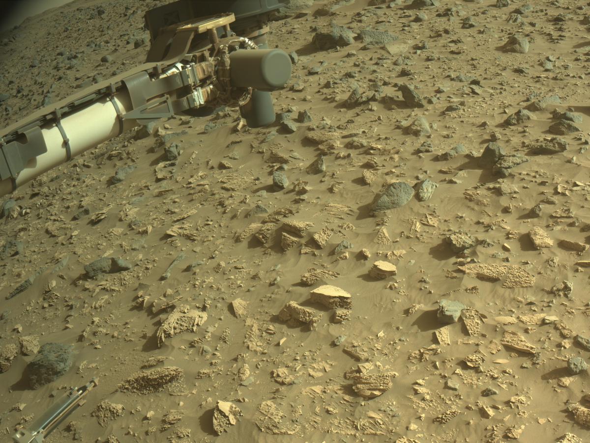 This image was taken by NAVCAM_RIGHT onboard NASA's Mars rover Perseverance on Sol 1221