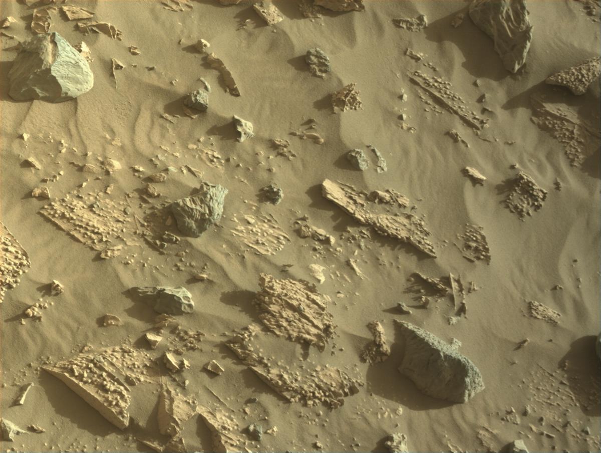 This image was taken by NAVCAM_RIGHT onboard NASA's Mars rover Perseverance on Sol 1221