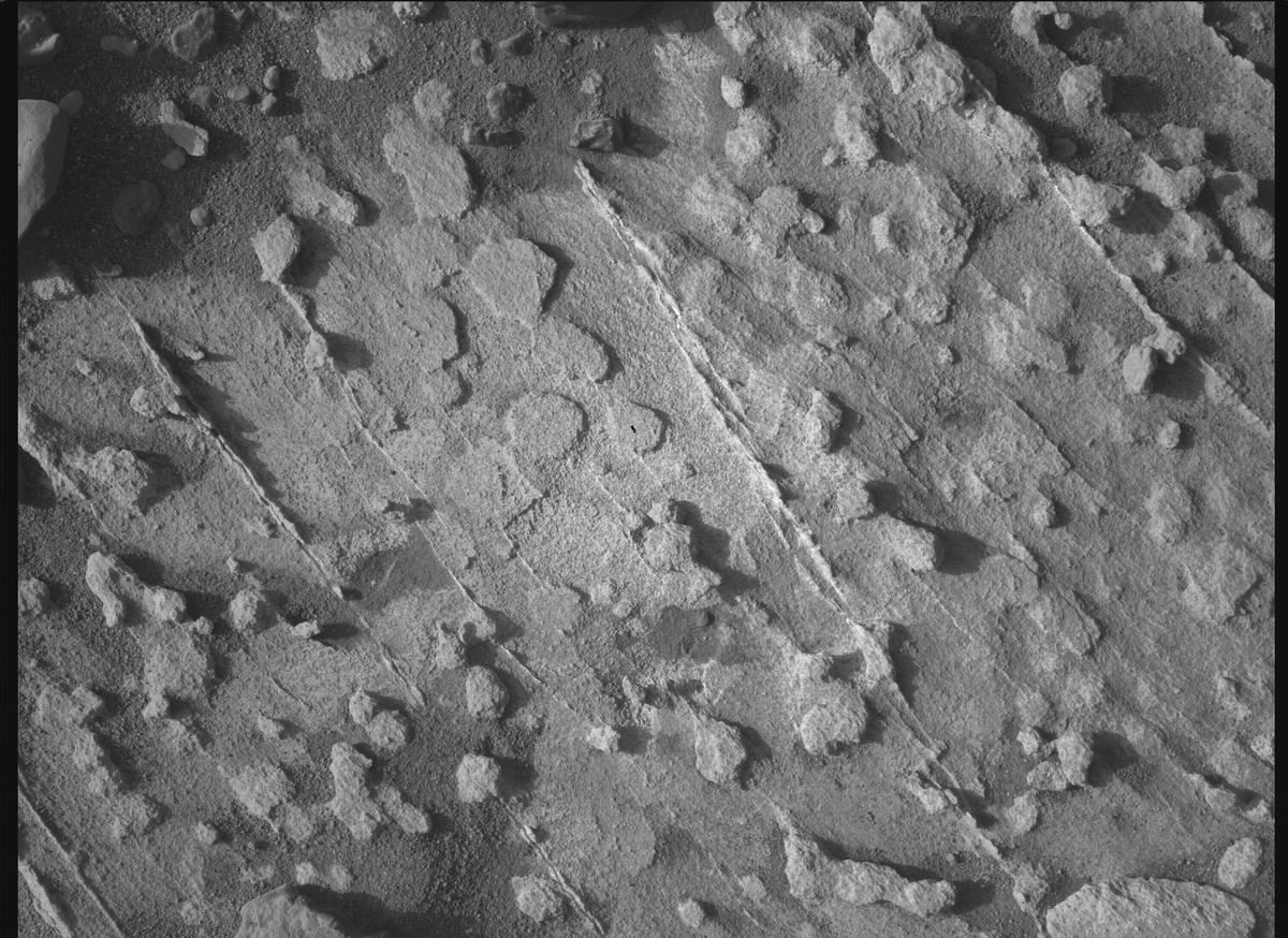 This image was taken by SHERLOC_WATSON onboard NASA's Mars rover Perseverance on Sol 1221