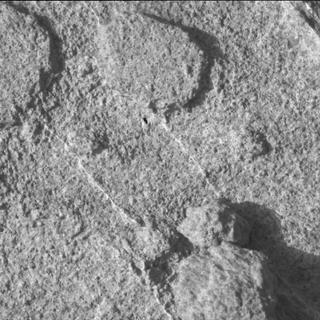 View image taken on Mars, Mars Perseverance Sol 1221: WATSON Camera 