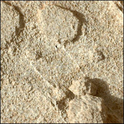 This image was taken by SHERLOC_WATSON onboard NASA's Mars rover Perseverance on Sol 1221