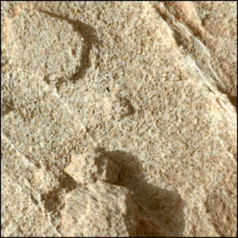 This image was taken by SHERLOC_WATSON onboard NASA's Mars rover Perseverance on Sol 1221