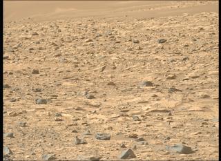 View image taken on Mars, Mars Perseverance Sol 1221: Left Mastcam-Z Camera