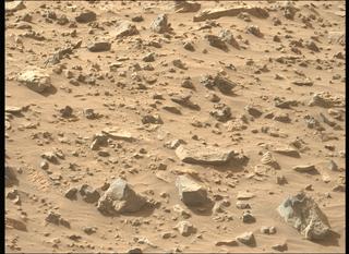 View image taken on Mars, Mars Perseverance Sol 1221: Left Mastcam-Z Camera