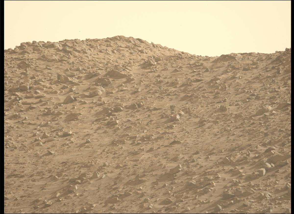 This image was taken by MCZ_LEFT onboard NASA's Mars rover Perseverance on Sol 1221