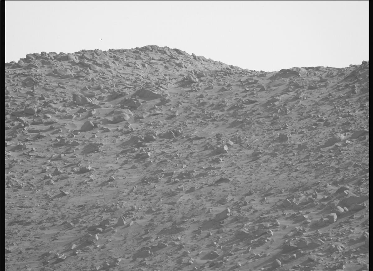 This image was taken by MCZ_LEFT onboard NASA's Mars rover Perseverance on Sol 1221