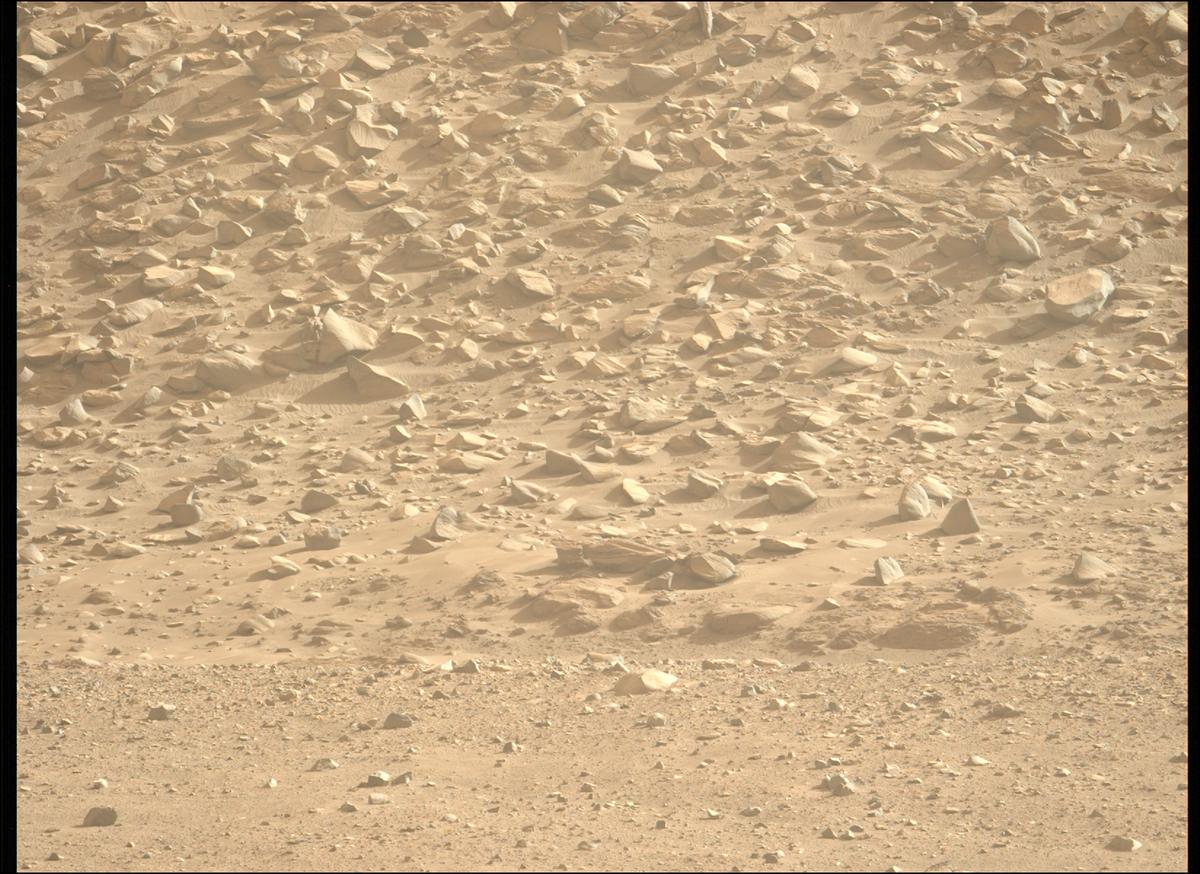 This image was taken by MCZ_LEFT onboard NASA's Mars rover Perseverance on Sol 1221
