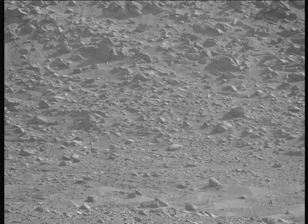 This image was taken by MCZ_LEFT onboard NASA's Mars rover Perseverance on Sol 1221