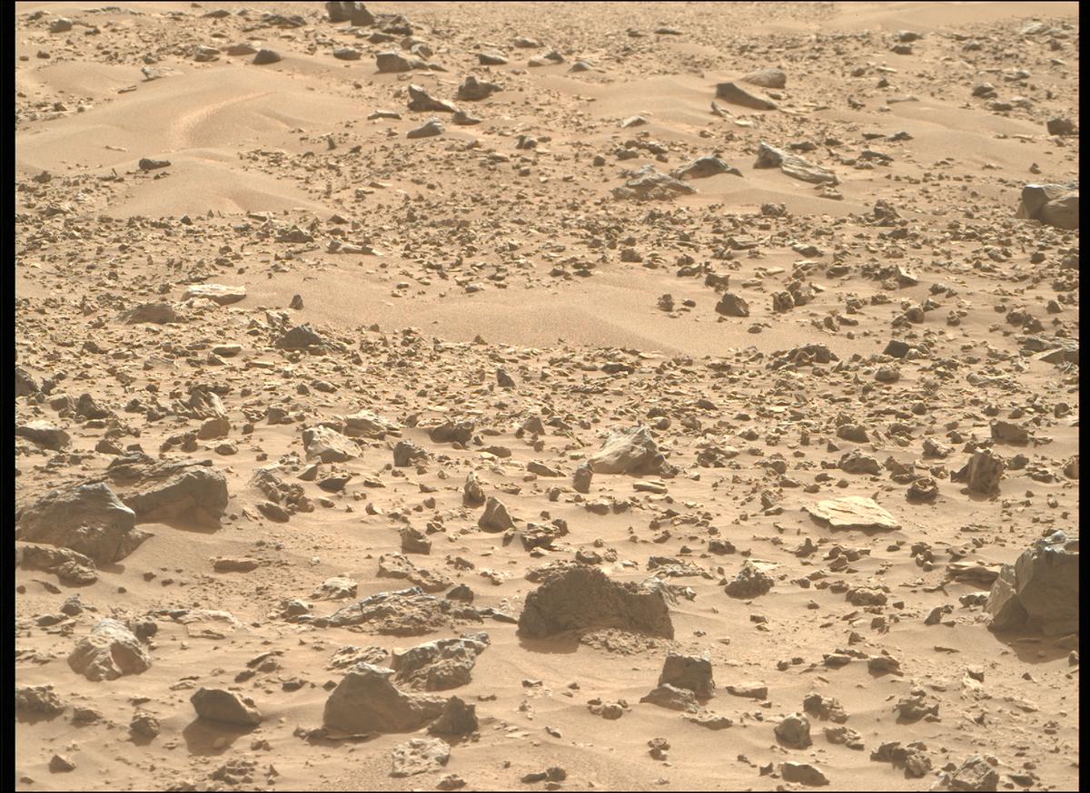 This image was taken by MCZ_RIGHT onboard NASA's Mars rover Perseverance on Sol 1221