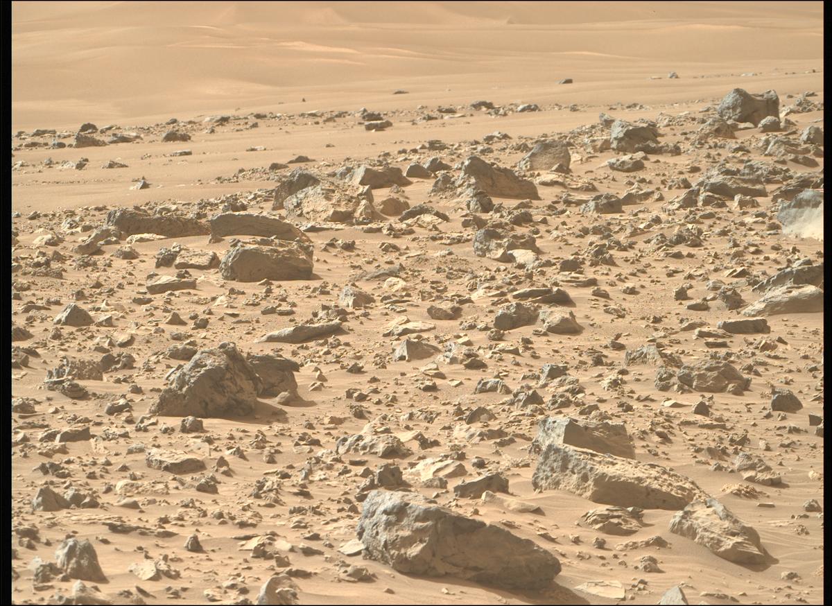 This image was taken by MCZ_RIGHT onboard NASA's Mars rover Perseverance on Sol 1221