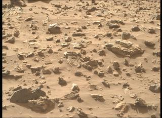 View image taken on Mars, Mars Perseverance Sol 1221: Right Mastcam-Z Camera