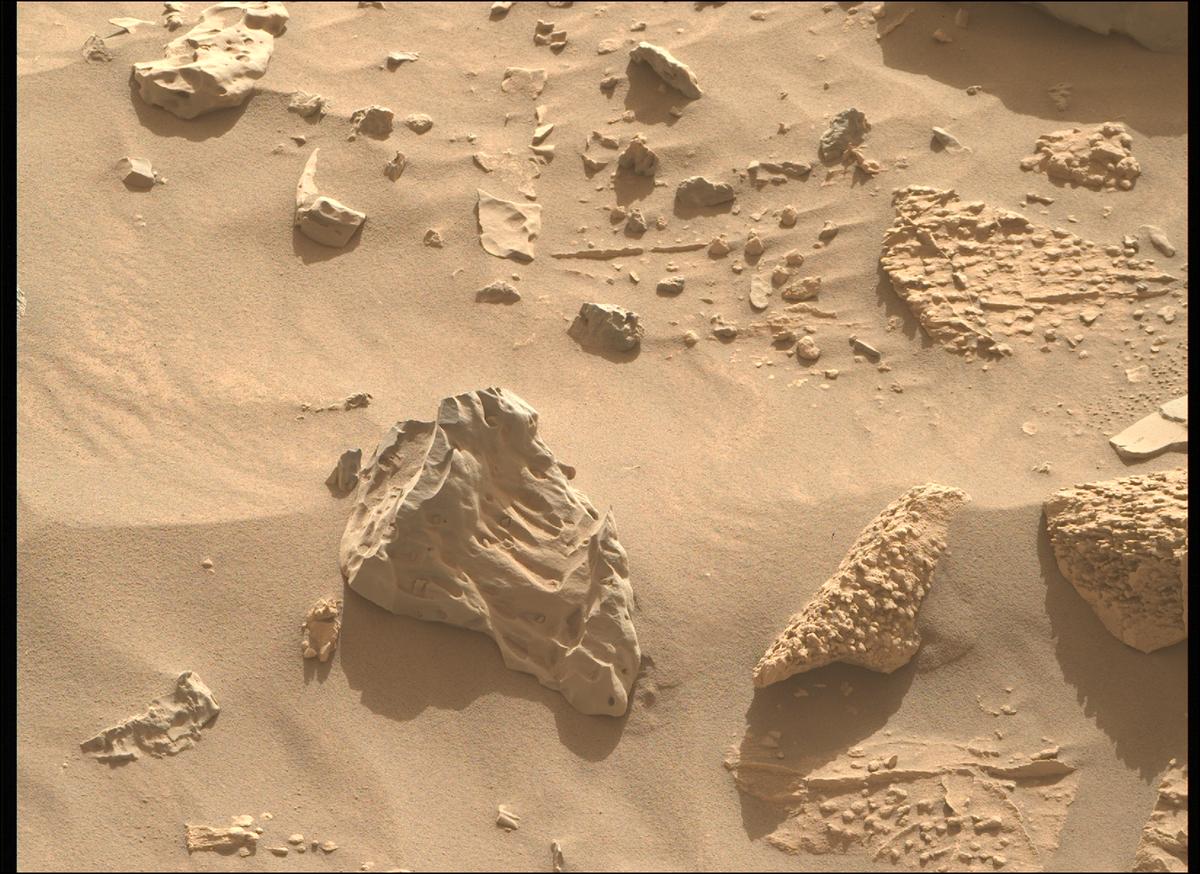 This image was taken by MCZ_RIGHT onboard NASA's Mars rover Perseverance on Sol 1221